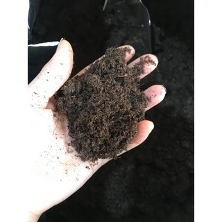 Giá thể cao cấp rêu than bùn peatmoss thương hiệu Peatman gói 1kg