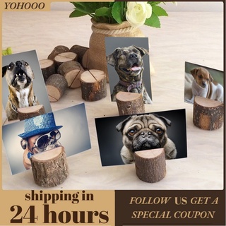 Set 10 Kẹp Giữ Thẻ Hình Khúc Gỗ Độc Đáo Tiện Dụng