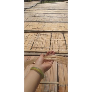 MIẾN DONG PHIA ĐÉN