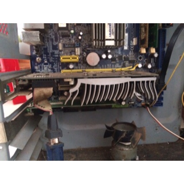 CARD MÀN HÌNH ASUS GIGA G210 LẮP ĐƯỢC CHO CÂY ĐỒNG BỘ MAIN G31 G41 , ....CHƠI MƯỢT LOL EST 2 AST SPINTIRE | BigBuy360 - bigbuy360.vn