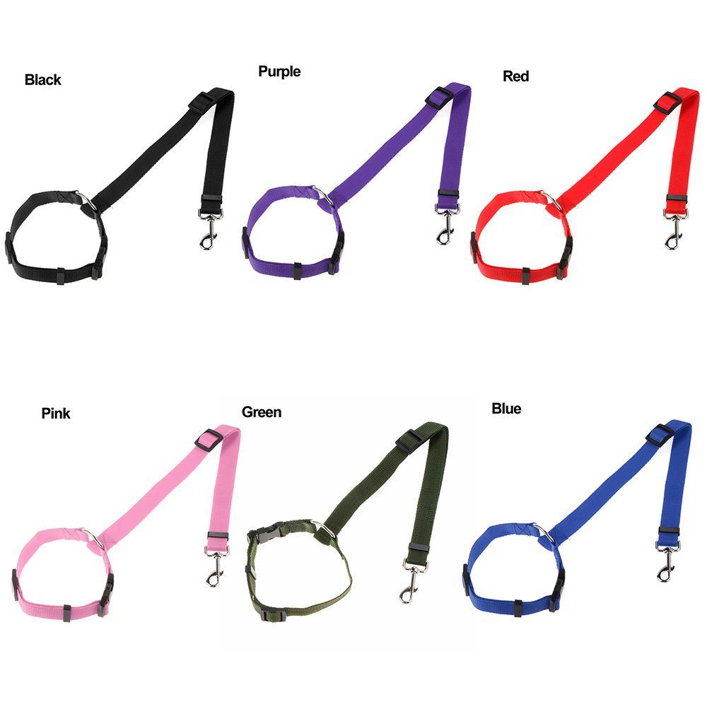 LET Dây Dẫn Thú Cưng Đi Dạo Siêu Bền Tiện Dụng