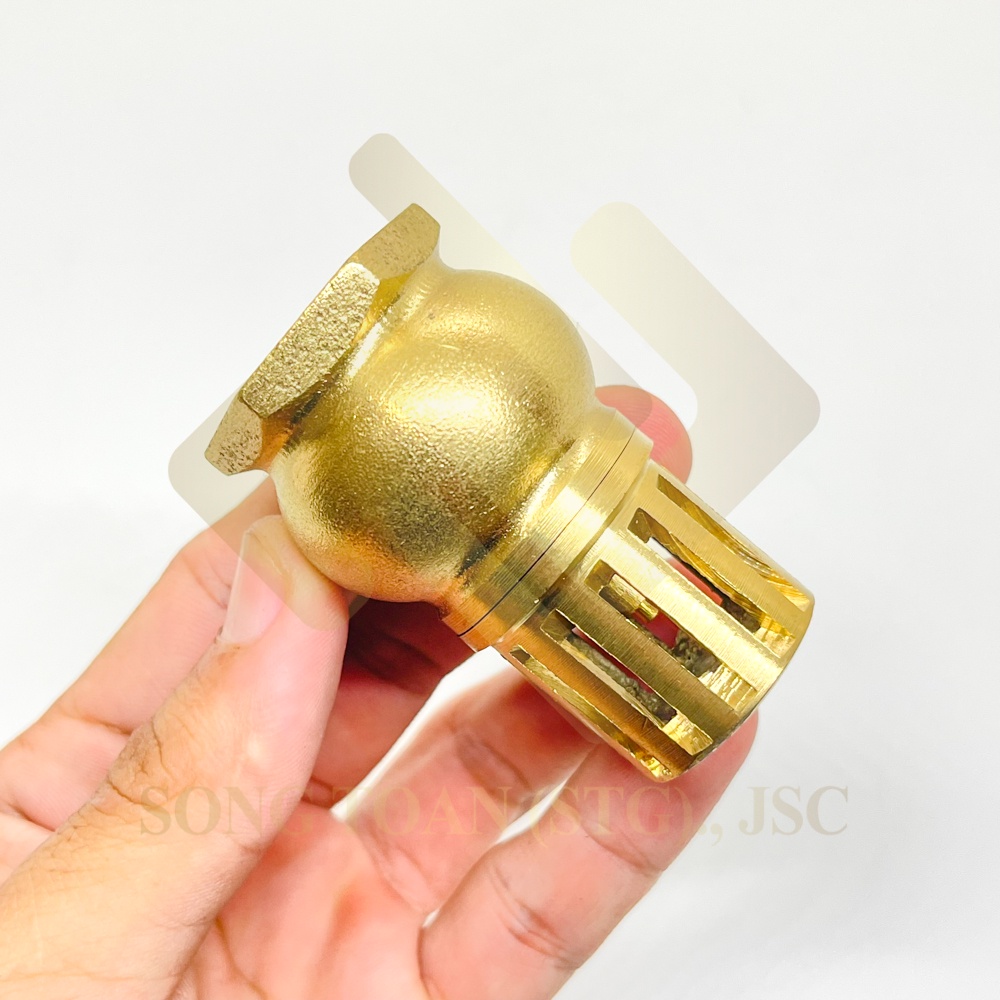 Lúp pê &amp; Luppe bơm nước, Chõ rọ lọc hút nước một chiều kết nối ren dân dụng - Bằng đồng