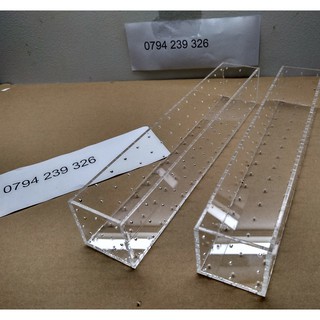 Hộp/ cốc mica trồng cây thủy sinh