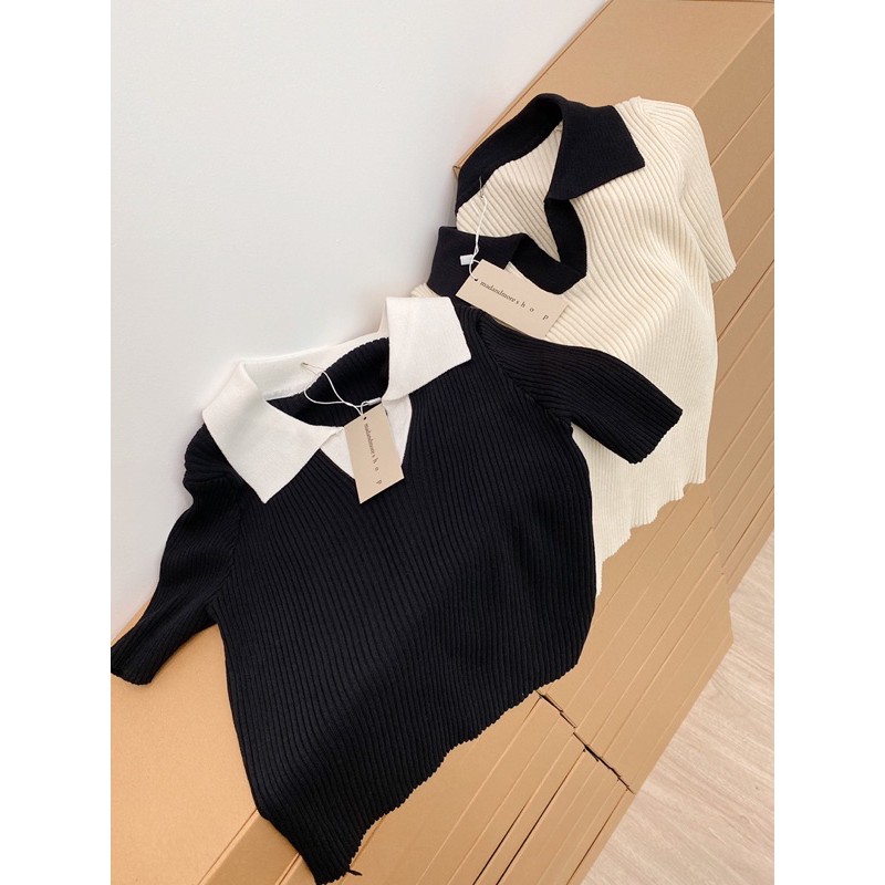 polo cổ màu | BigBuy360 - bigbuy360.vn