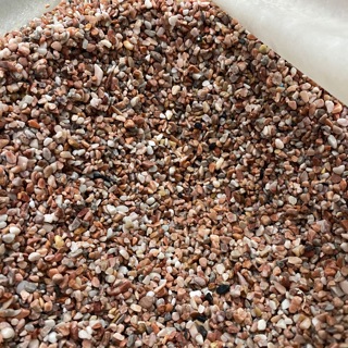 SỎI ĐỦ MÀU - TRANG TRÍ CÂY TRỒNG