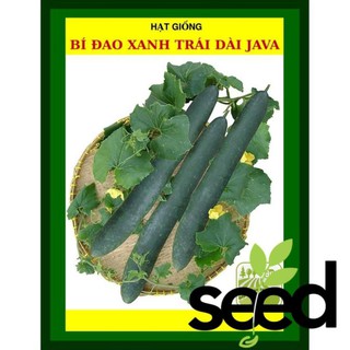 Hạt Giống Bí Đao Xanh Trái Dài F1 Java 0.2 Gram