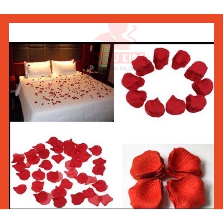 100 Cánh Hồng Lụa Trang Trí Tiệc Cưới Sự Kiện