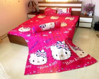 Sét 5 ga gối poly cotton