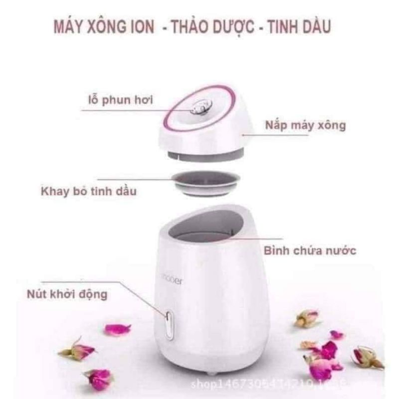 Máy xông mặt hoa quả Moaer TKGD330