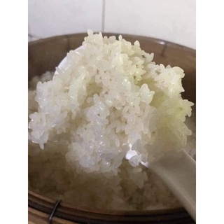 GẠO NẾP LÀO CAI NỌI