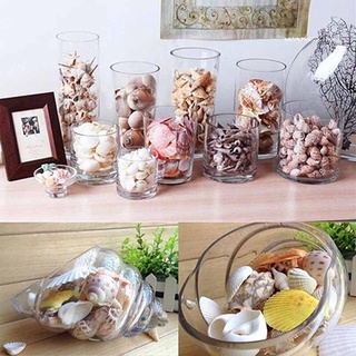 100g vỏ sò trang trí hồ cá độc đáo