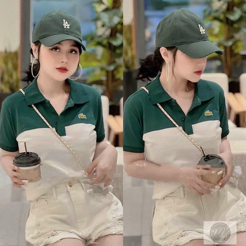 áo cổ bẻ phối sọc