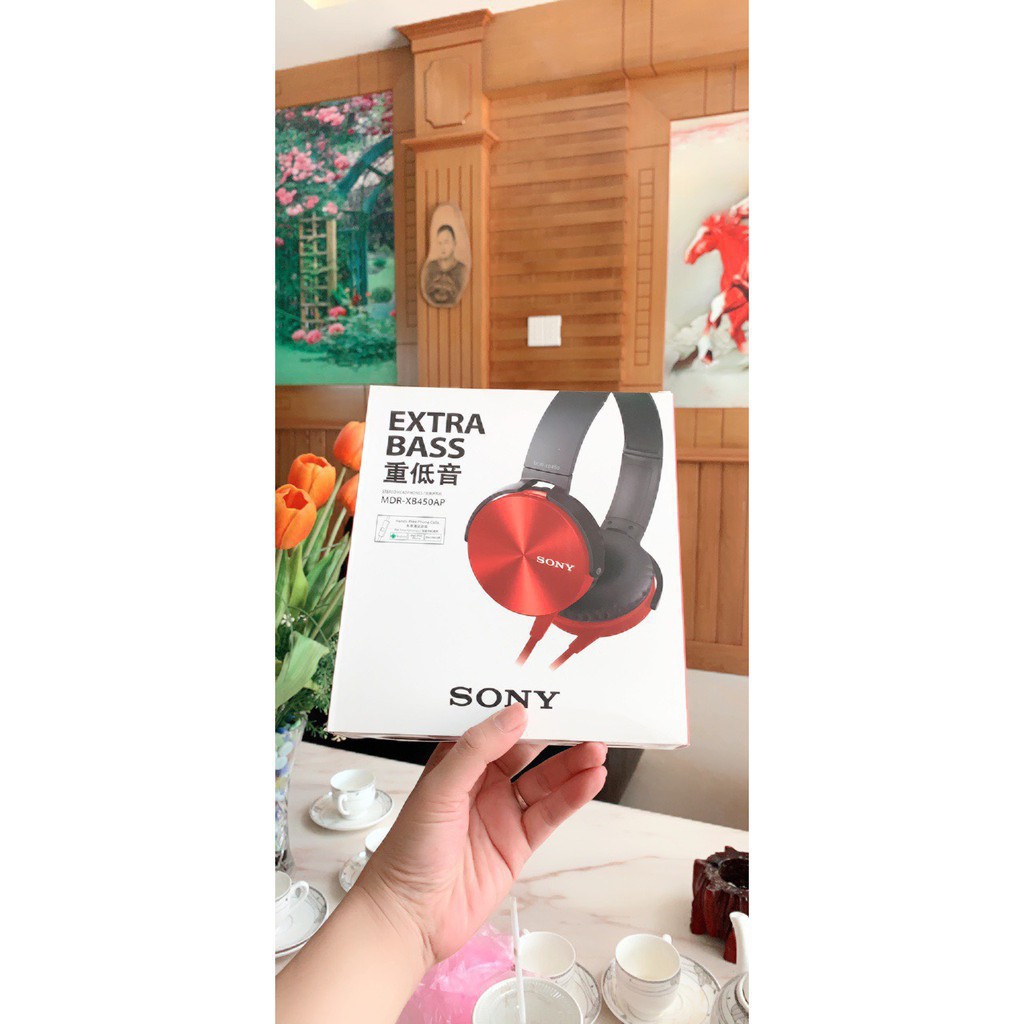 [CHÍNH HÃNG] Tai nghe SONY MDR-XB450 Chụp Tai Thời Trang Cao Cấp - Âm Thanh Cực Hay