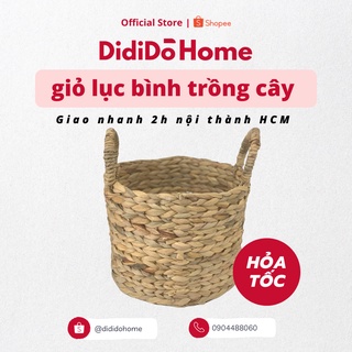 Giỏ lục bình trồng cây