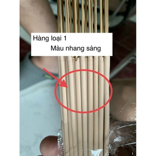 Combo 10 hộp nhang muỗi cây