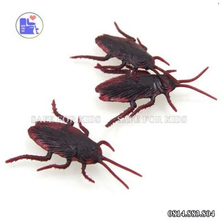 Con gián giả đồ chơi cho chó mèo, chơi khăm