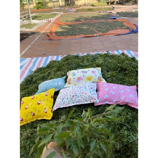 Gối Đinh Lăng Mẹ Thúy- vải cotton thấm mồ hôi trộm