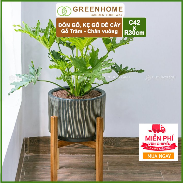 Kệ để chậu hoa, C42xR30cm, chân vuông, gỗ tràm siêu cứng tặng 4 miếng dán chống trầy sàn - Greenhome