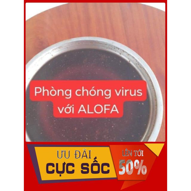 Bột thảo dược phong thủy hút tài lộc ALOFA