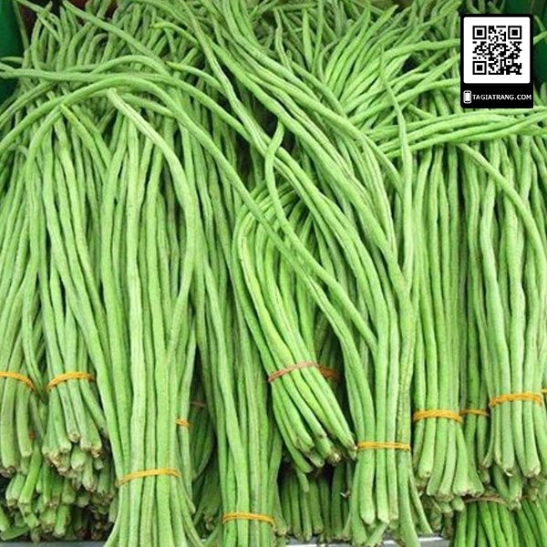 1KG Hạt giống đậu đũa (đỗ gièo - đậu dải áo, đậu bún) cao sản hạt đen