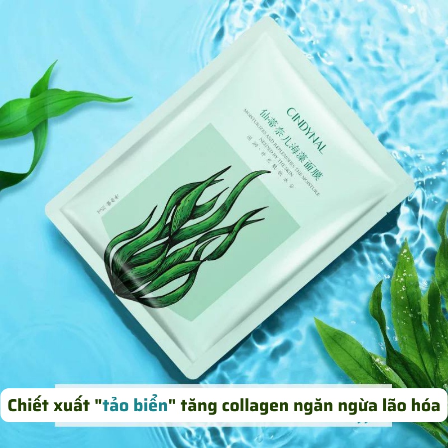 [N122] Mặt nạ Tảo biển cấp nước kiềm dầu và làm sáng da Seaweed brightening hydating Mask