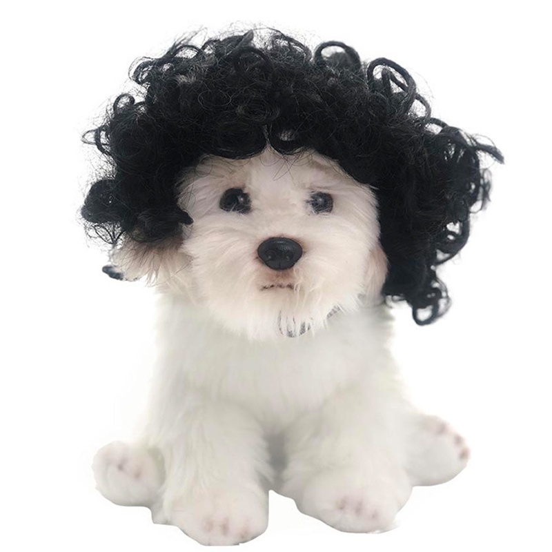 Tóc giả hóa trang cho thú cưng hài hước vui nhộn