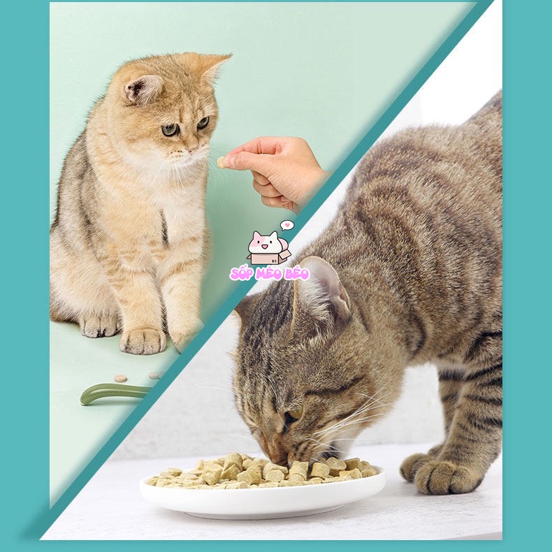 Viên bánh Catnip kết hợp thịt đông khô gói 20gr hãng JOY-tiêu lông tốt cho sức khỏe