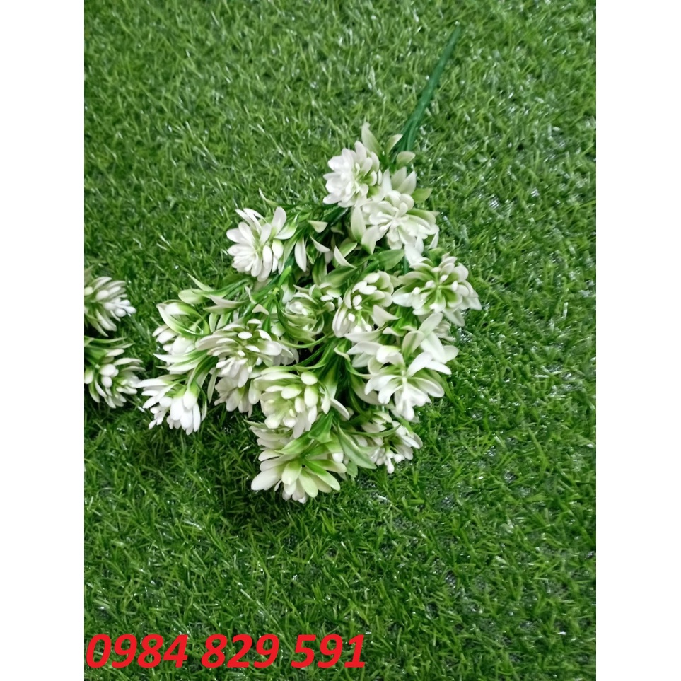 Cụm điểm hoa bưởi