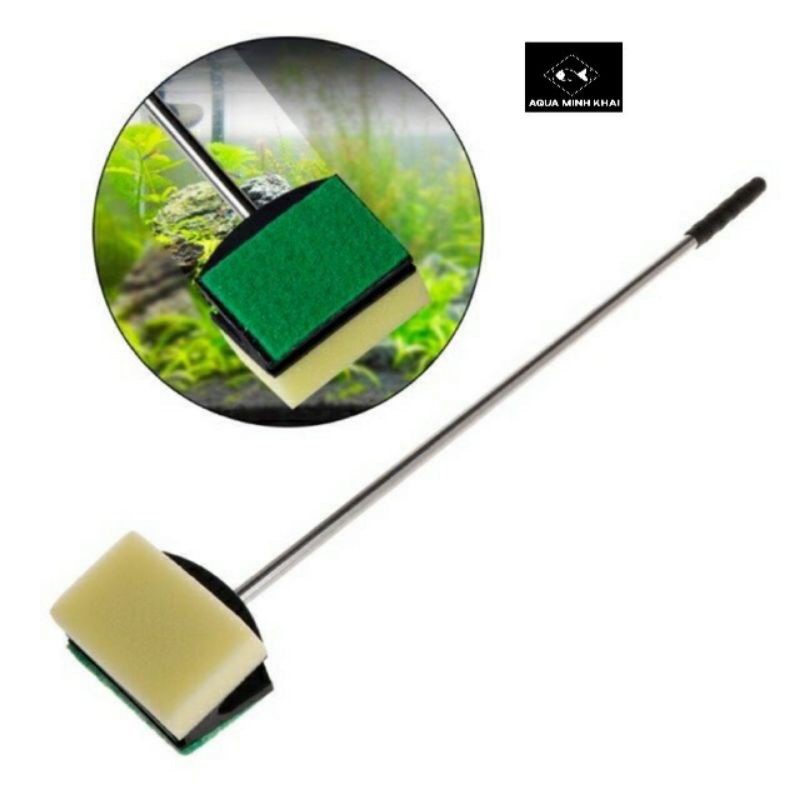 Cây cọ rêu bể cá thủy sinh, cay co reu be ca thuy sinh