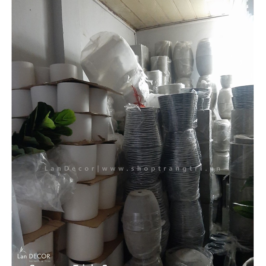 Chậu xi măng tròn  - Lan Decor
