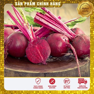 Hạt Giống Củ Dền Đỏ(2gr)