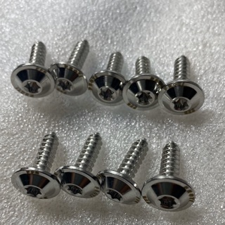 bộ 10 con ốc dàn áo inox Proti