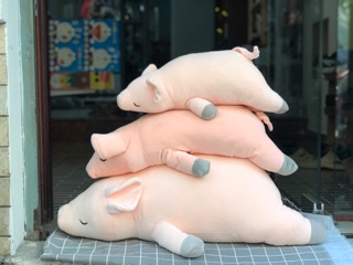 Heo bông 50cm - 1m2 ( ảnh thật)
