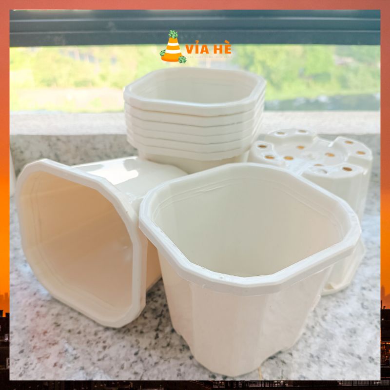 Chậu nhựa vuông cứng màu trắng đen size 15x13 nhỏ trồng cây xương rồng sen đá để bàn cây dâu tây