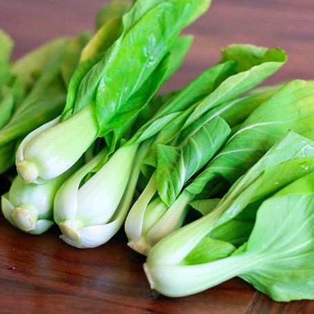 Hạt giống rau cải thìa  cao sản