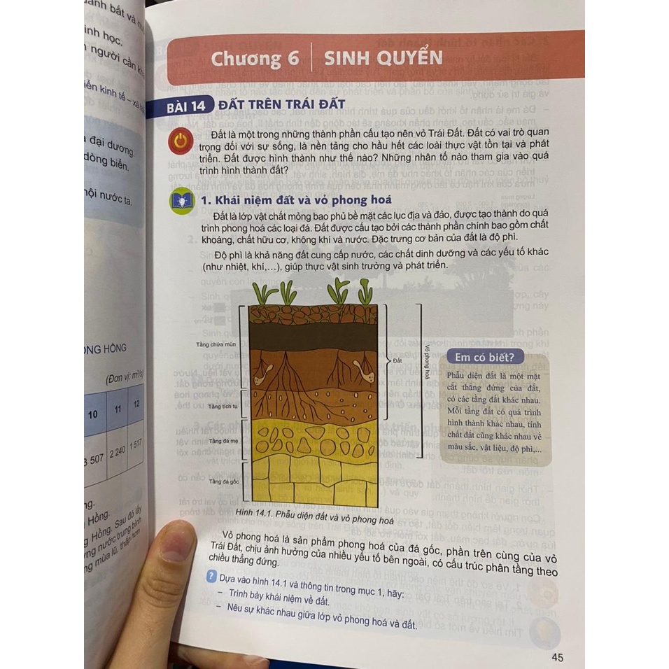 Sách giáo khoa Địa lí 10 ( Kết nối tri thức )+ bán kèm 1 quyển Bé tập tô màu 15k