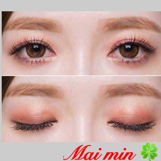 BẢNG PHẤN MẮT NOVO 9 Ô