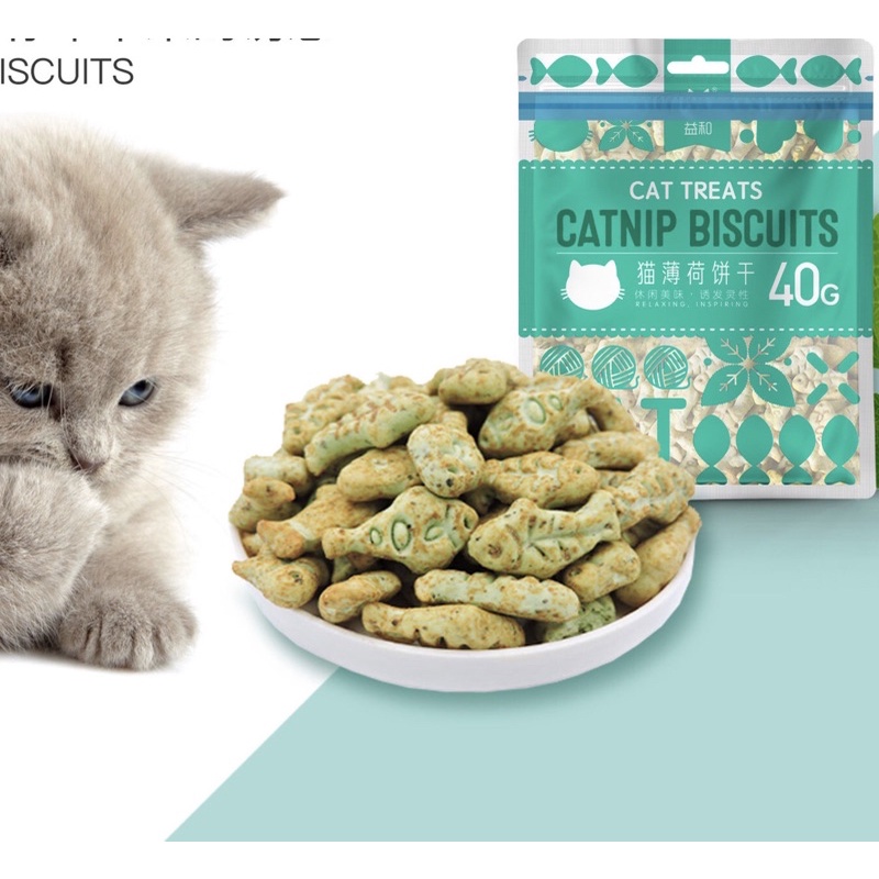 Cỏ mèo catnip, bánh kẹo snack ăn vặt cho mèo