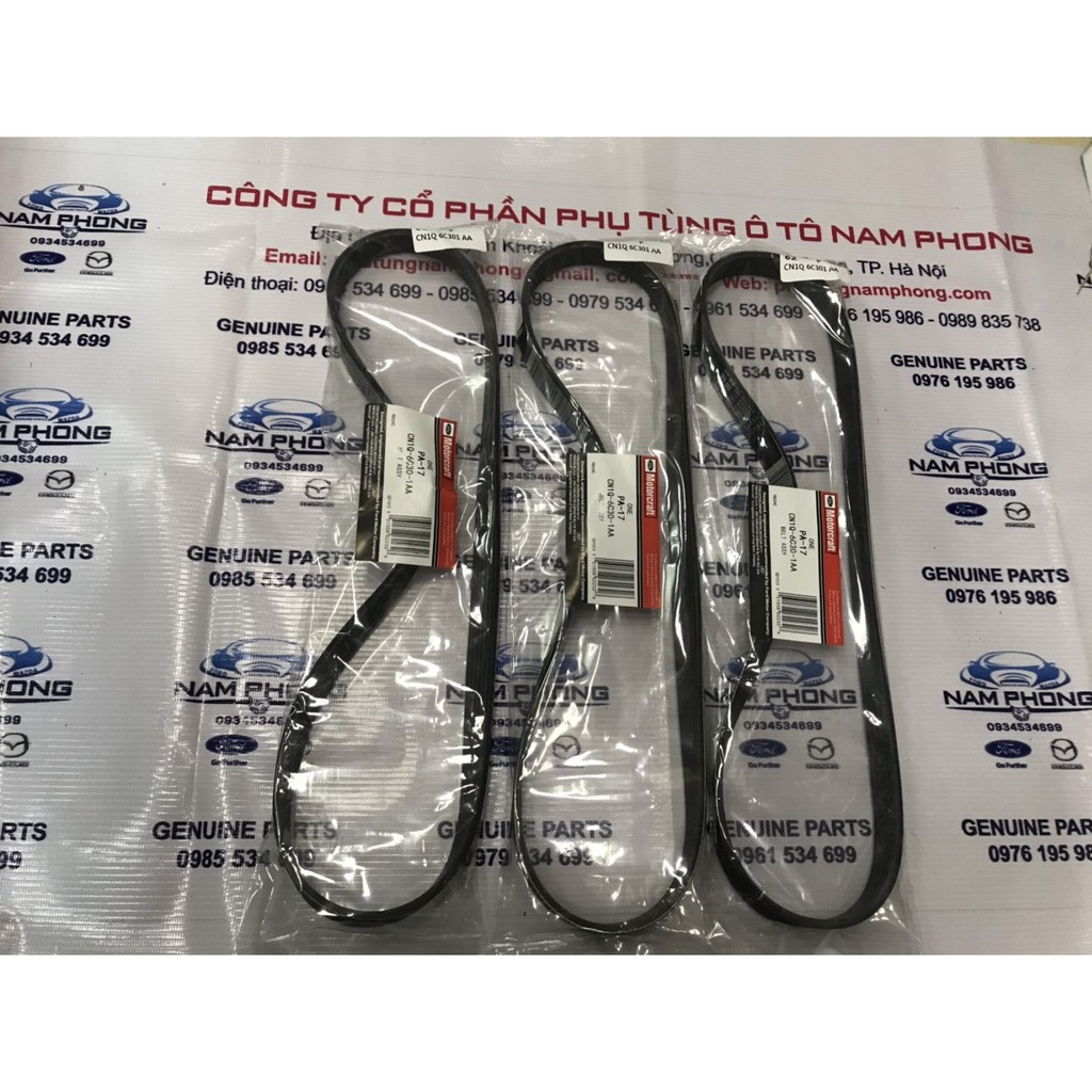 Curoa tổng - Curoa máy Ford Ecosport 1.5 15 Xịn 6PK1030 - CN1Q6C301AA