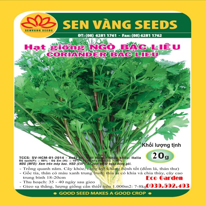Hạt Giống Ngò Hạt Lớn Pháp Phú Nông - 20g