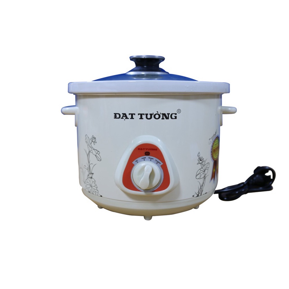 Nồi Nấu Chậm, Nồi Kho Cá Đa Năng, Hầm Gà Nguyên Con, Nồi Nấu Cháo Cao Cấp, Slow Cooker Đạt Tường.