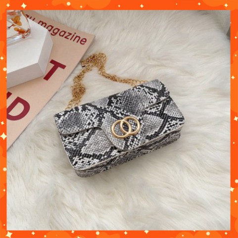 Túi xách nữ, túi đeo chéo mini họa tiết da trăn phong cách Retro- DC08 - Chjp Xjnh Boutique
