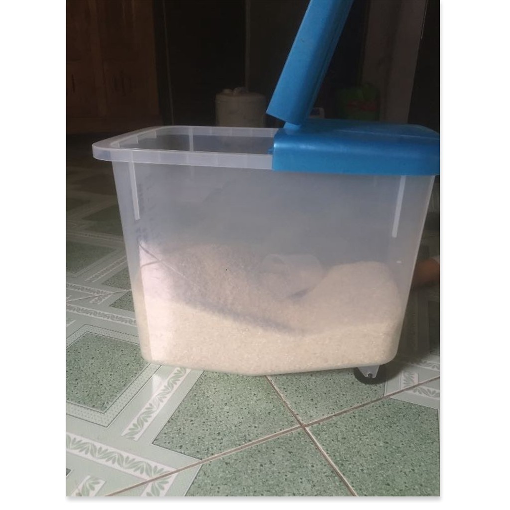 Thùng đựng gạo Song Long có bánh xe 10kg - Màu ngẫu nhiên