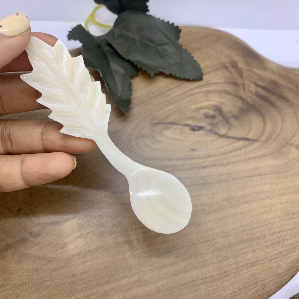 Thìa vỏ xà cừ màu nâu - ăn kem/xúc gia vị/thìa cafe - an toàn cho sức khỏe (CTH738N)