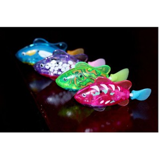 Cá cảnh chạy pin có đèn led Robo Fish