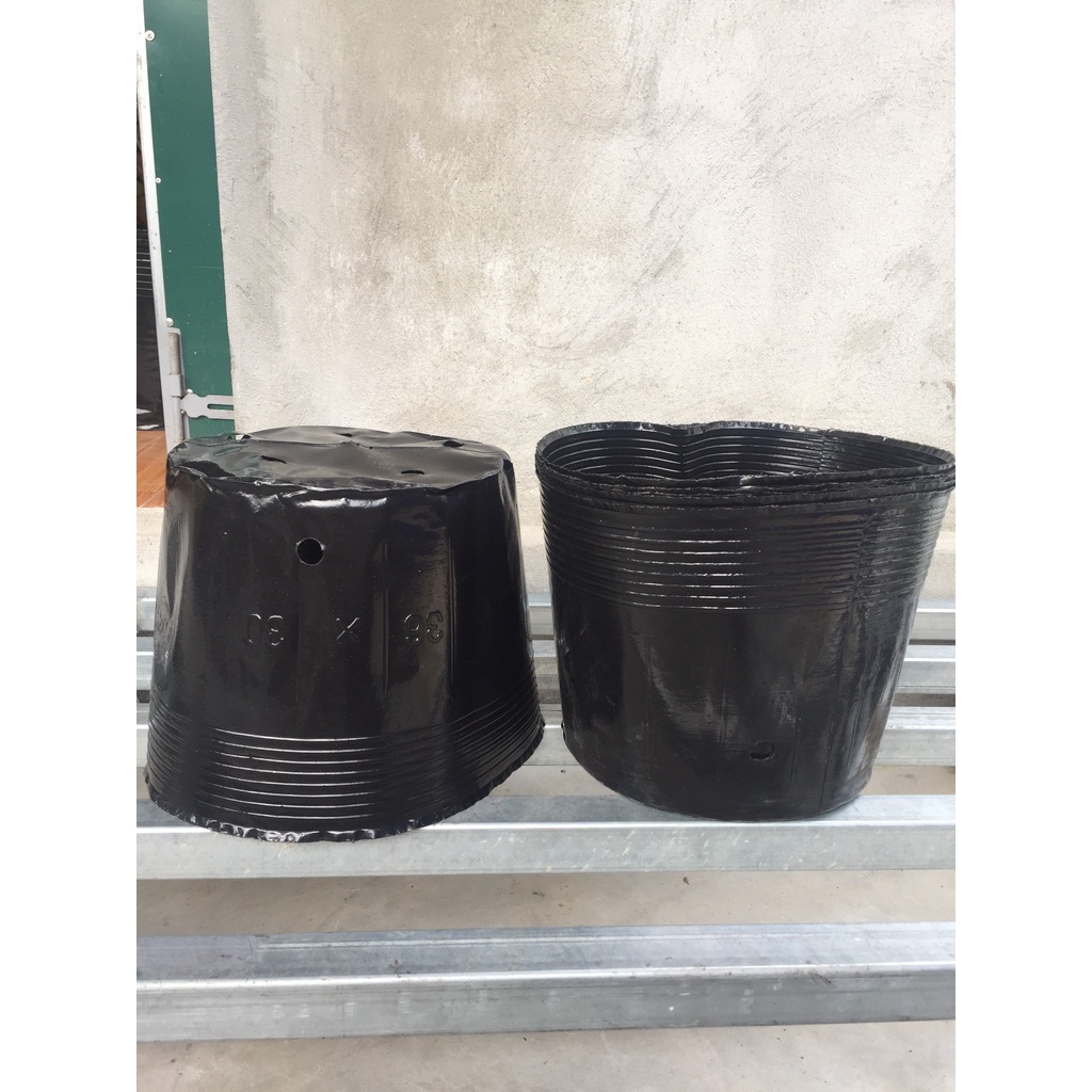 BẦU ƯƠM CÂY 36*30 ( DỊCH TRUYỀN CHO CÂY, KÍCH RỄ , MẦM CÂY XANH LÁ, LƯỚI CHE NẮNG...)