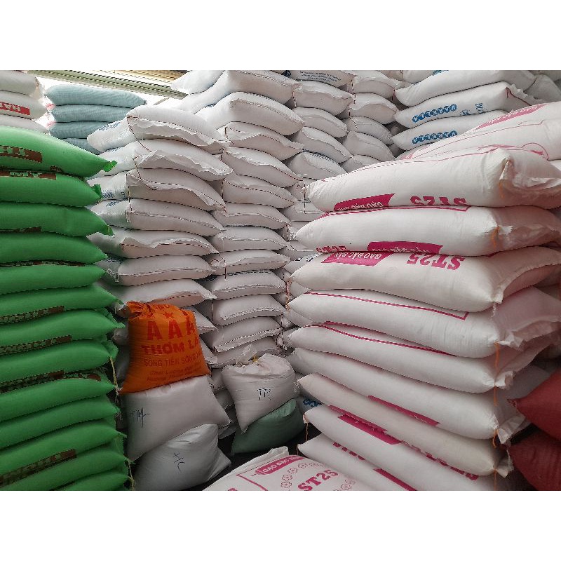 Gạo thơm lài sữa