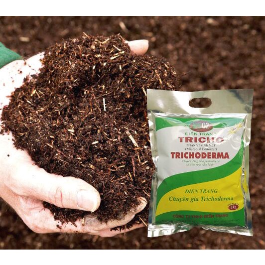 Trichoderma Điền Trang (1 KG) - Nấm đối kháng ủ phân bón hữu cơ trồng rau sạch, cây ăn trái