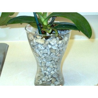 - 1kg Đá bọt biển trồng Lan hàng đẹp, chuyên cho cây hoa cảnh.