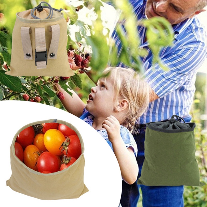 Túi Đeo Hông Đựng Dụng Cụ Cho Các Hoạt Động Ngoài Trời